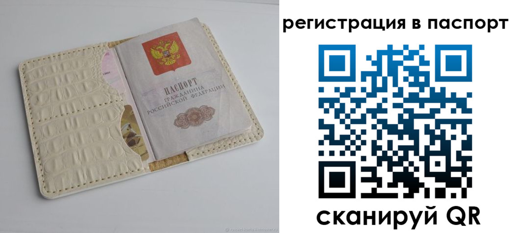 прописка паспорт в Краснодаре